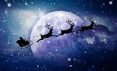 همه چیز در مورد گوزن در کریسمس | نوئل مارکت